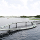Illustration for article titled Is This the Craziest Bridge Ever Designed?
